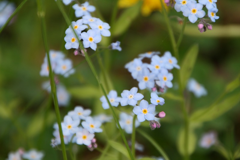 ファイル 137-3.jpg