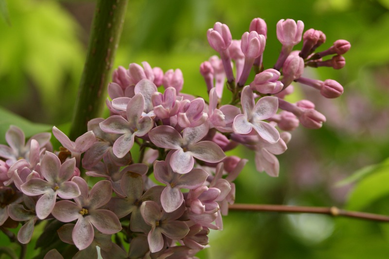 ファイル 138-1.jpg