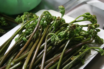 ファイル 138-3.jpg