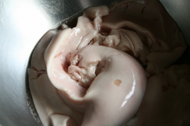 ファイル 139-5.jpg