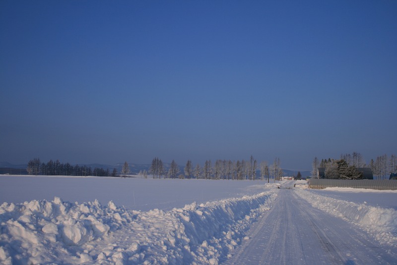 ファイル 14-1.jpg