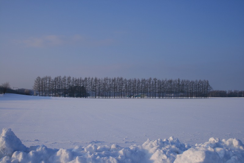 ファイル 14-2.jpg