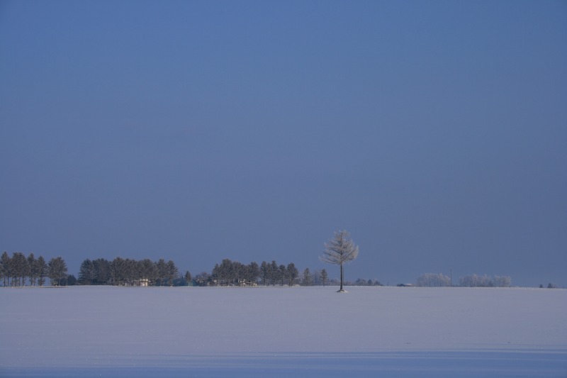 ファイル 14-3.jpg