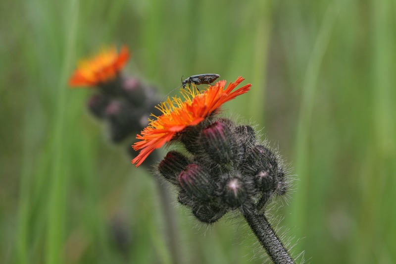 ファイル 140-1.jpg