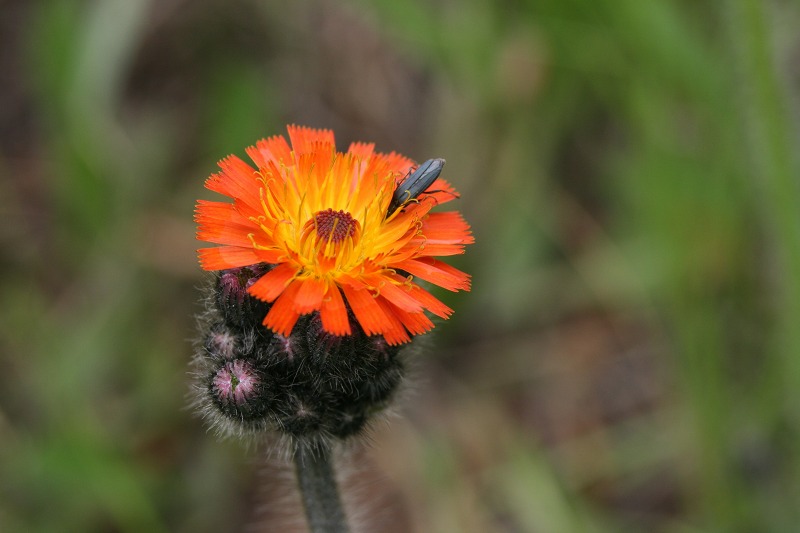 ファイル 140-4.jpg