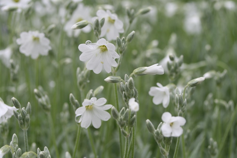 ファイル 142-2.jpg