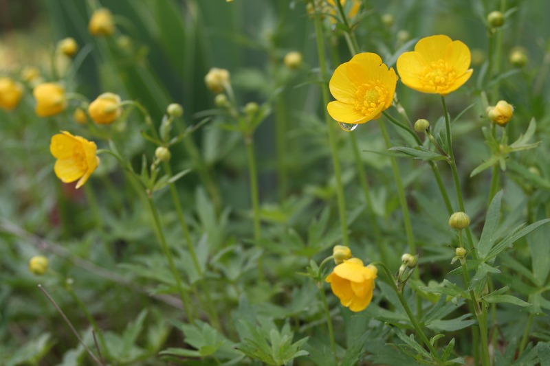 ファイル 142-3.jpg