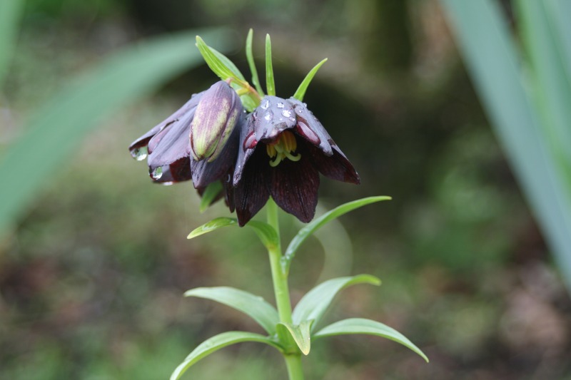 ファイル 143-3.jpg