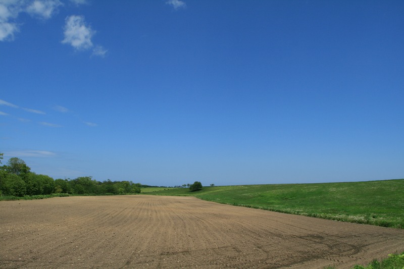 ファイル 146-2.jpg