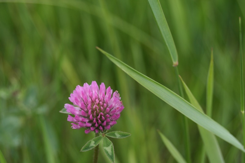 ファイル 148-2.jpg