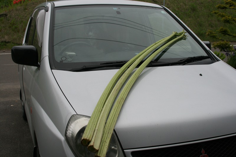 ファイル 148-3.jpg