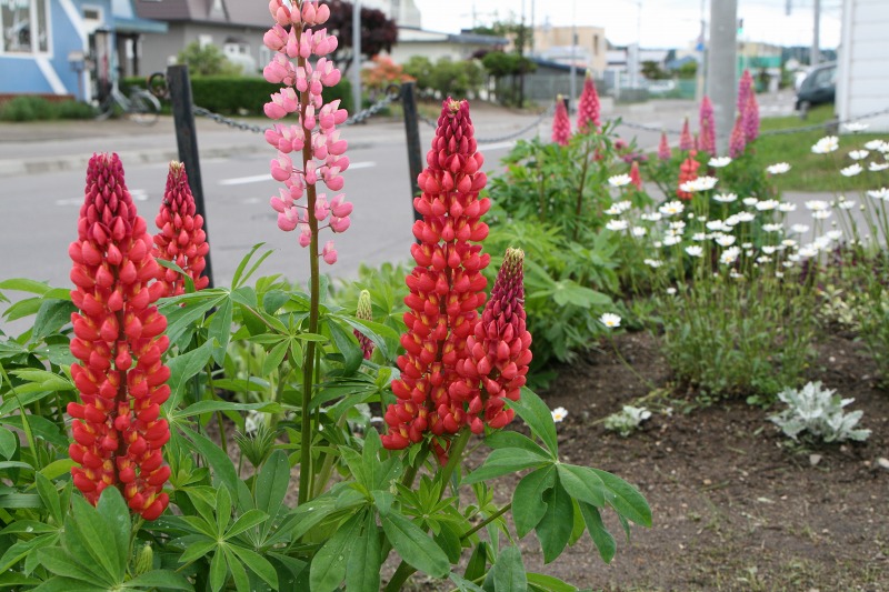 ファイル 149-3.jpg