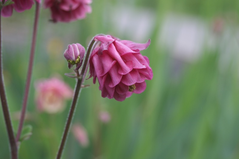 ファイル 151-2.jpg