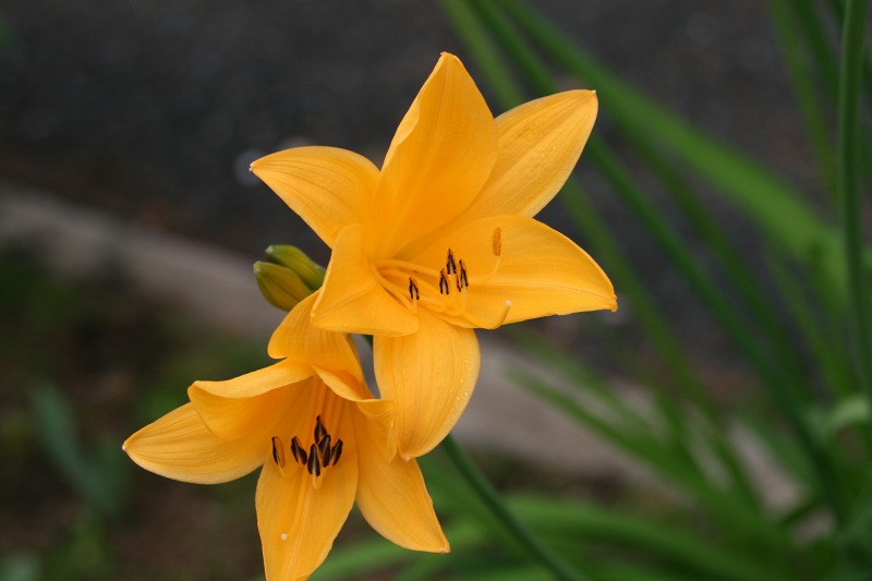 ファイル 151-3.jpg