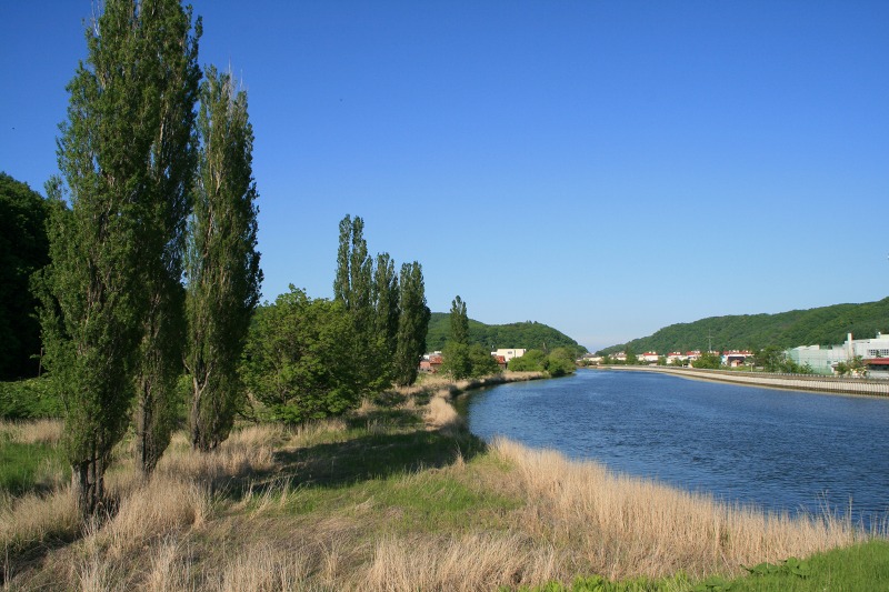 ファイル 152-2.jpg