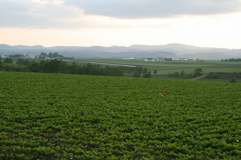 ファイル 153-2.jpg