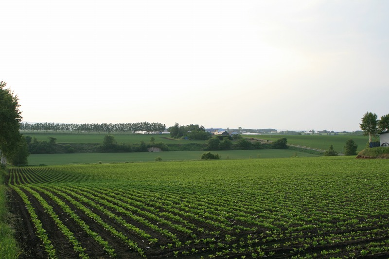 ファイル 153-3.jpg