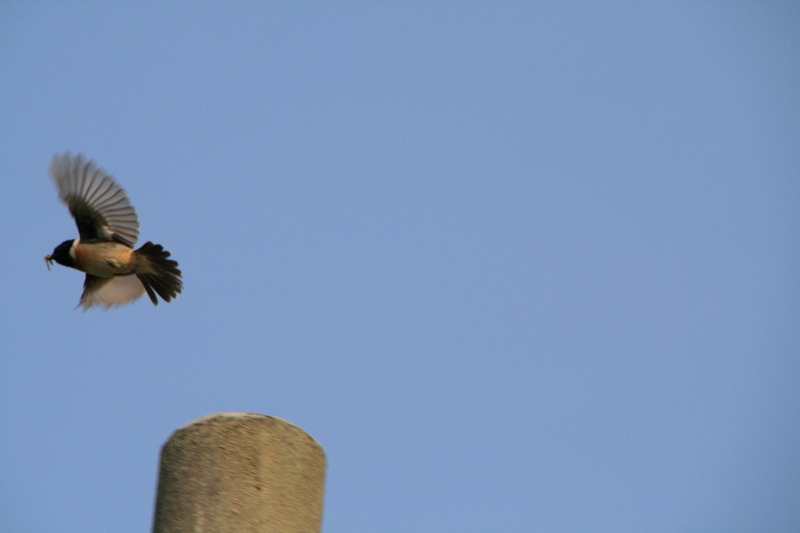 ファイル 154-3.jpg