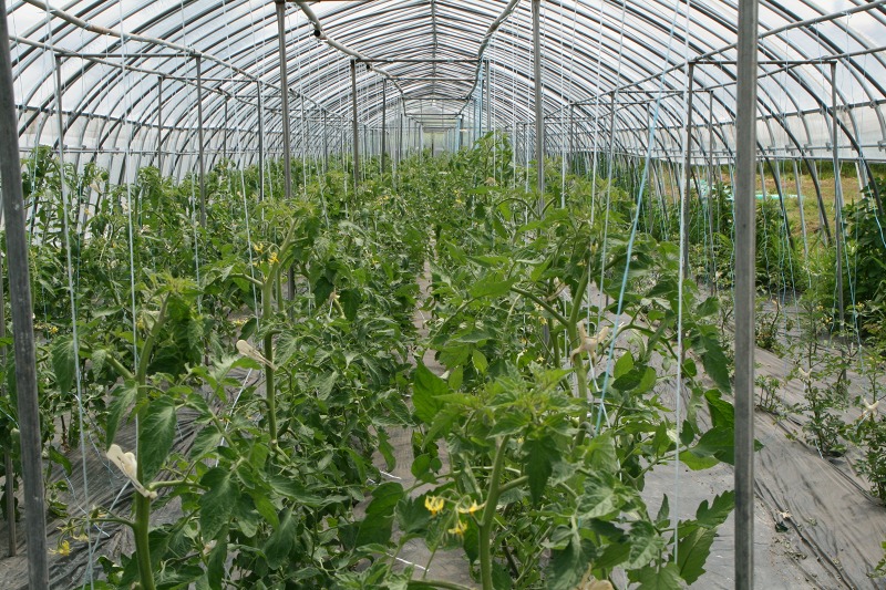 ファイル 155-2.jpg