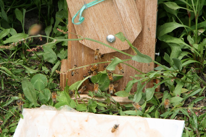 ファイル 155-3.jpg