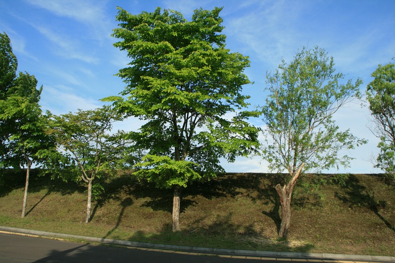 ファイル 156-1.jpg