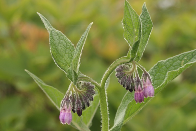 ファイル 158-1.jpg