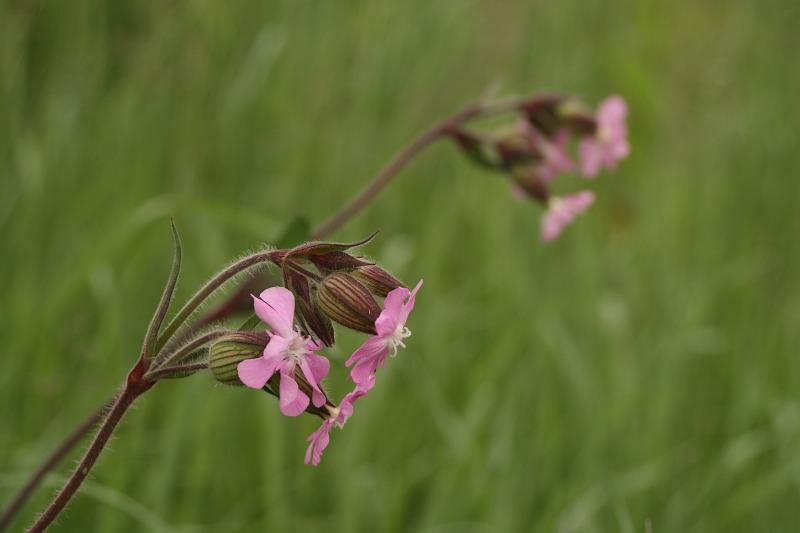 ファイル 158-3.jpg