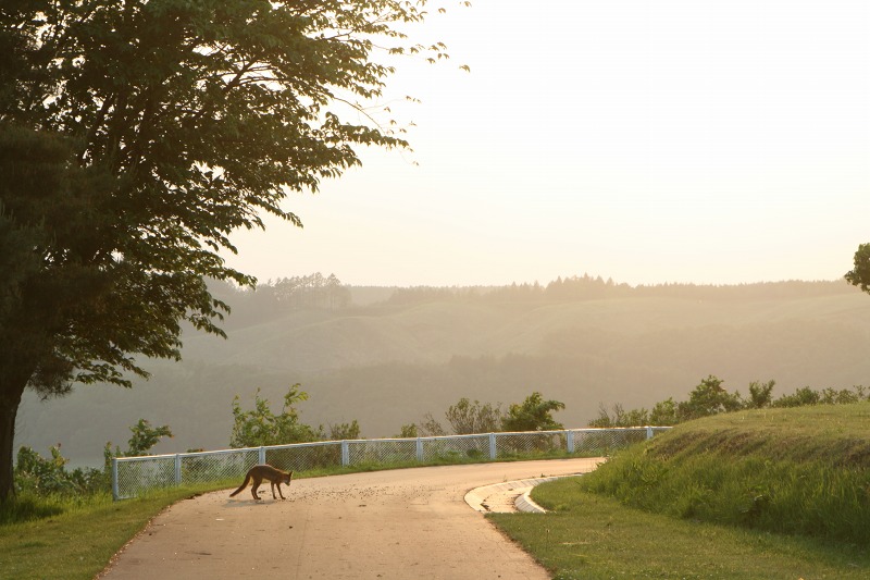 ファイル 159-1.jpg