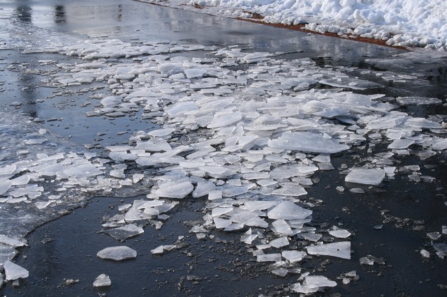 ファイル 16-1.jpg