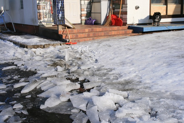 ファイル 16-2.jpg