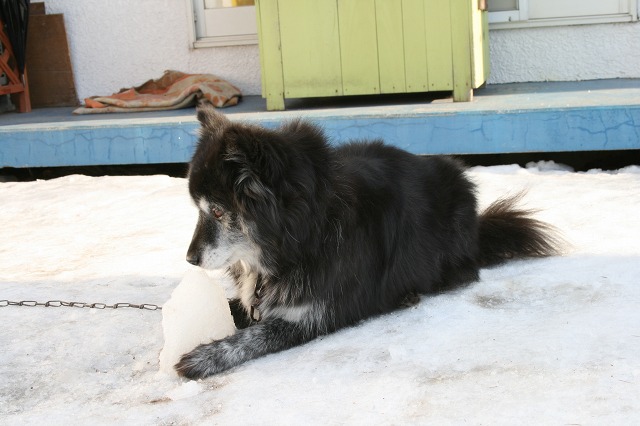 ファイル 16-3.jpg