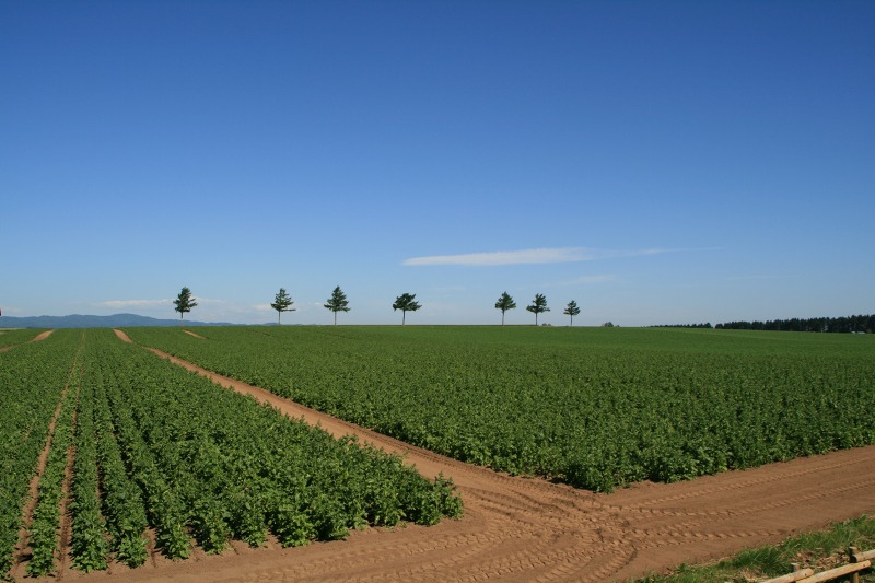 ファイル 162-1.jpg