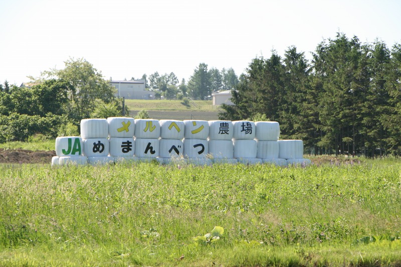 ファイル 162-2.jpg