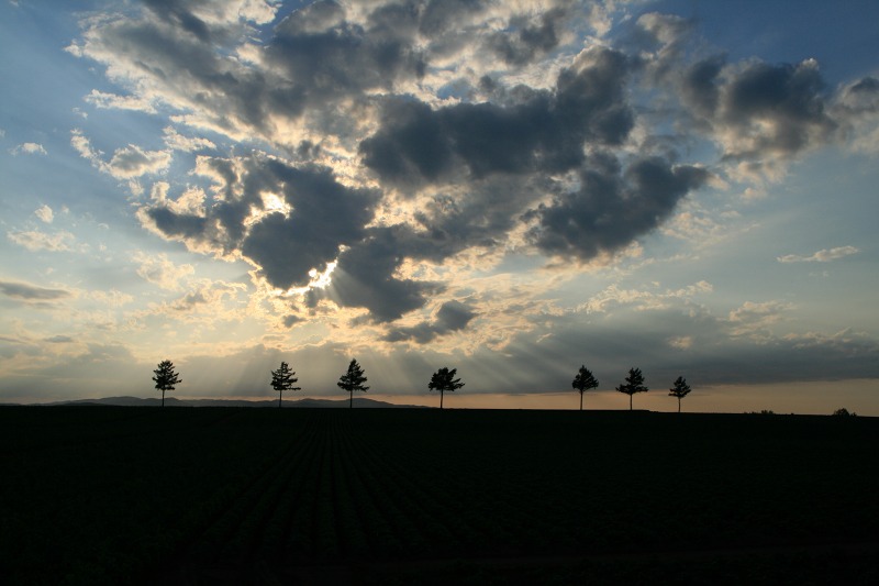 ファイル 162-3.jpg