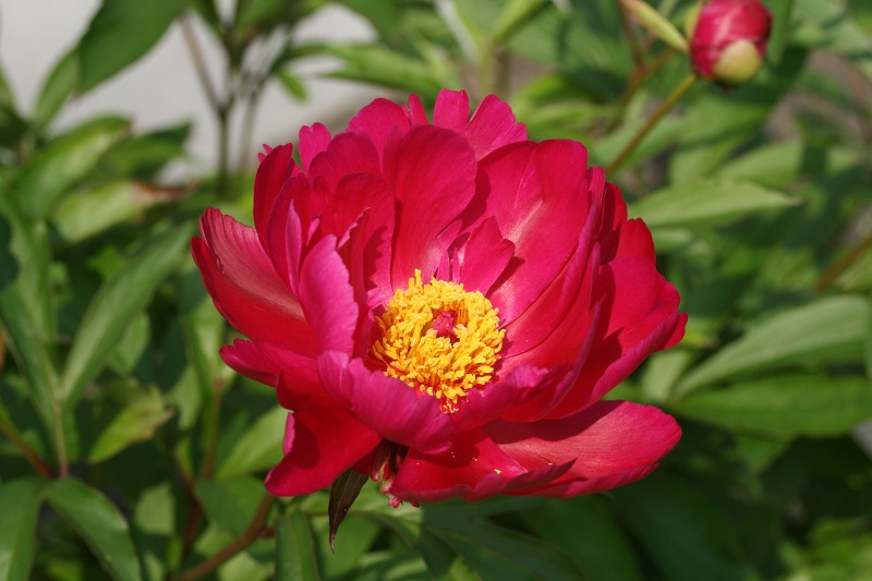 ファイル 163-1.jpg