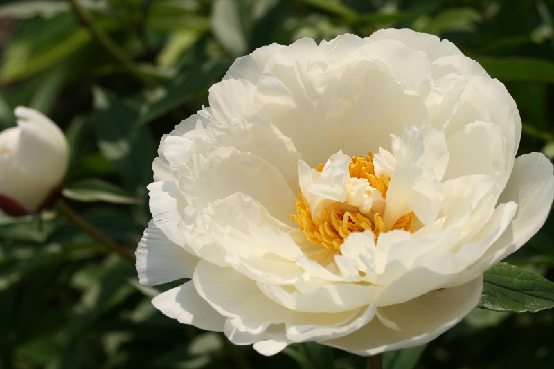 ファイル 163-2.jpg