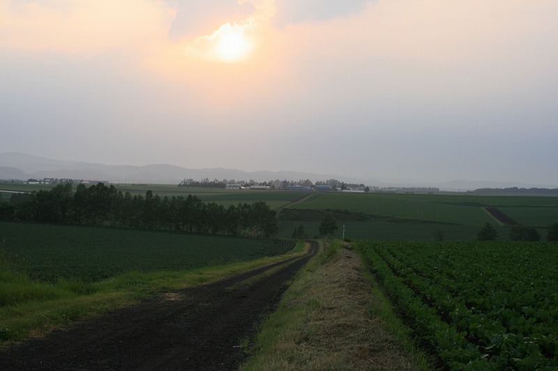 ファイル 163-3.jpg