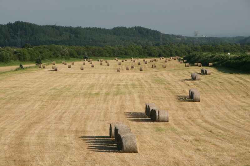 ファイル 164-1.jpg