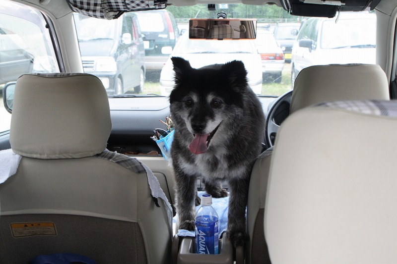 ファイル 165-4.jpg