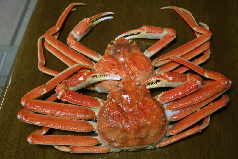 ファイル 167-2.jpg