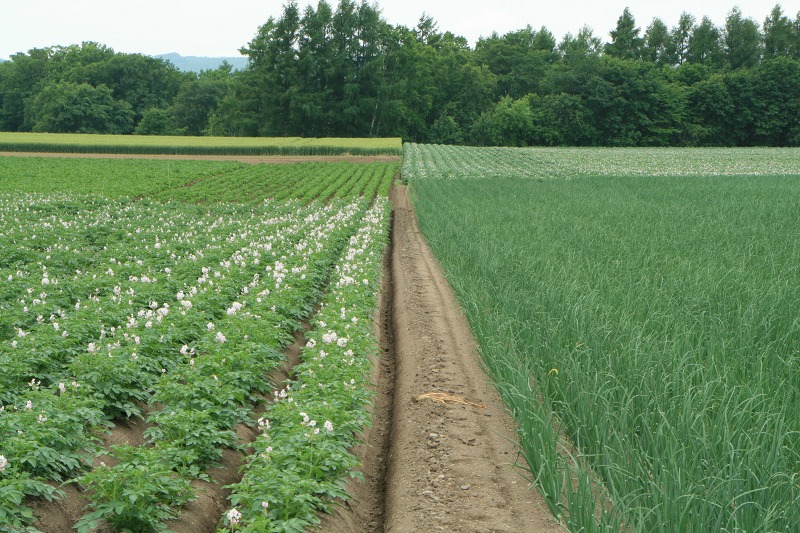 ファイル 169-1.jpg