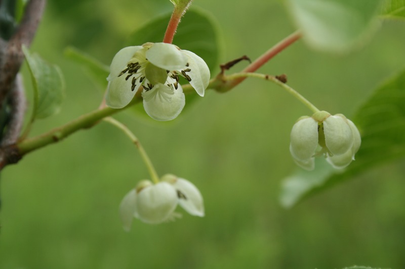 ファイル 169-4.jpg