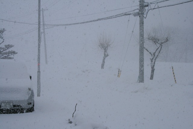 ファイル 17-1.jpg