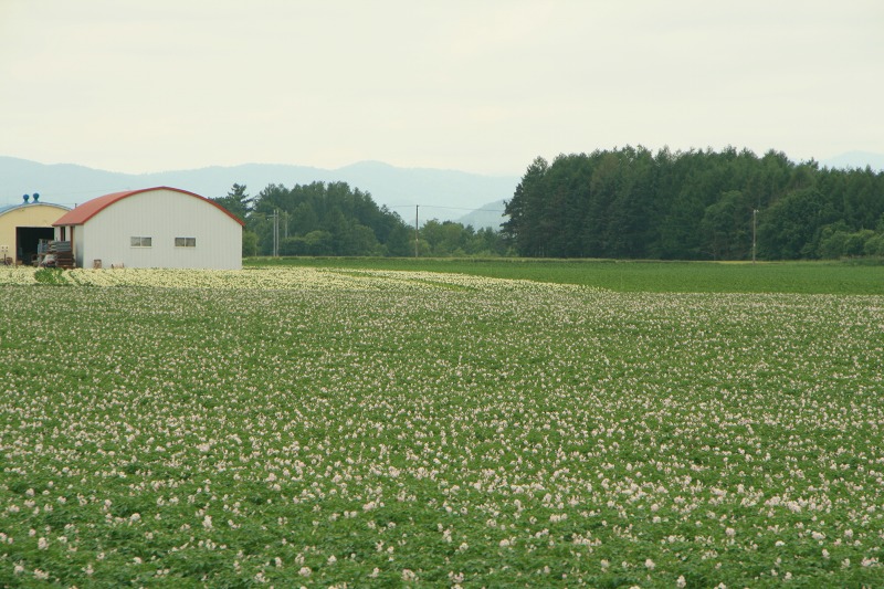 ファイル 170-1.jpg