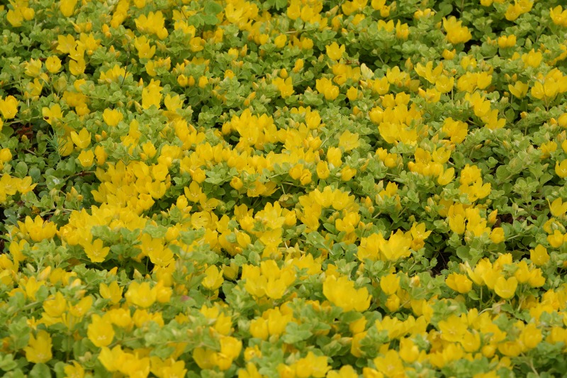 ファイル 170-2.jpg