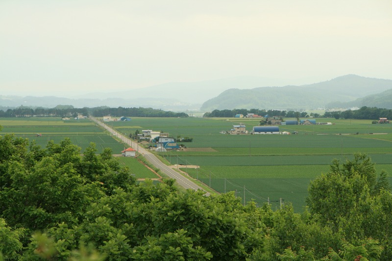 ファイル 171-1.jpg