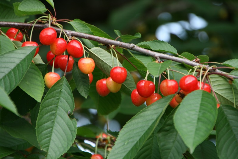 ファイル 171-3.jpg