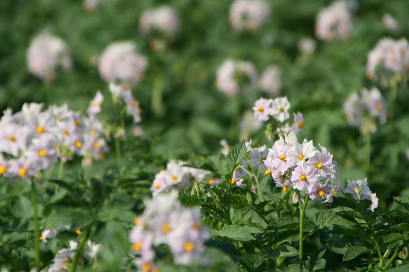 ファイル 172-2.jpg