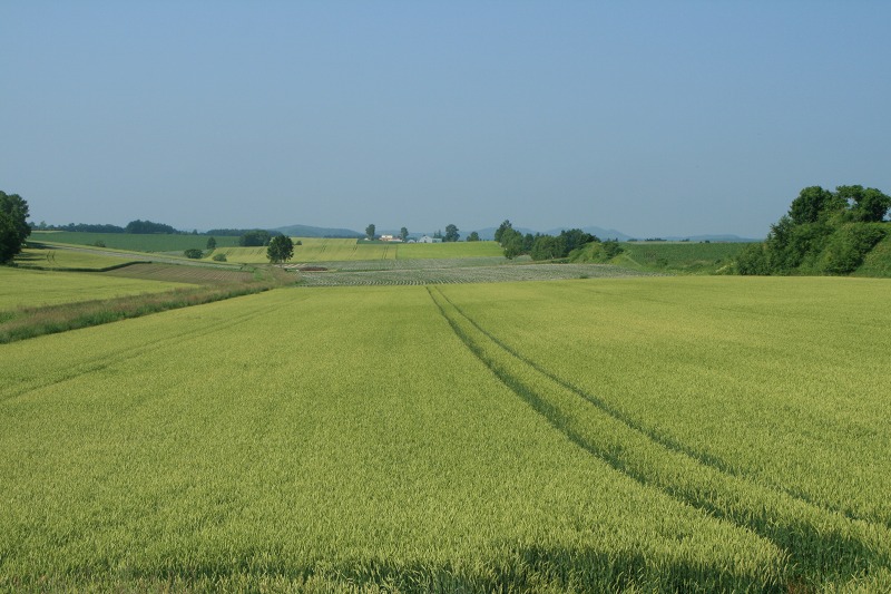 ファイル 172-3.jpg