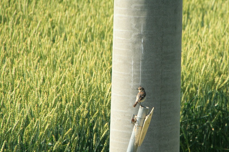 ファイル 173-3.jpg